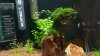 K800_2013-03-11 20.28.22.JPG