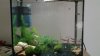 20130329_162701.jpg
