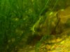 DSCN4781.JPG
