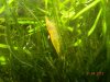 DSCN4779.JPG