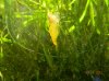 DSCN4777.JPG