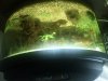 uploadfromtaptalk1365513166414.jpg