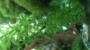 2013-04-14_20-38-55_304.jpg