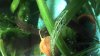 2013-04-14_20-38-42_415.jpg