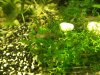20130419_120424.jpg