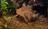 2013-04-05 20.49.23.jpg