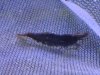 DSC07122.JPG