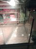 IMG004.JPG