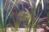 100_1059.JPG