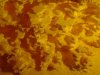 detail2.JPG