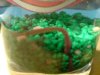 DSC00207.JPG