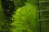 _MG_4489_1.JPG