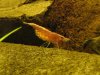 IMG_1011_klein.jpg