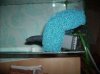 PICT0171.JPG