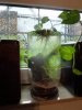Vase 01.jpg
