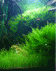 P1090146.gif