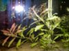 100_3286.JPG