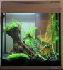aquart30-3.jpg