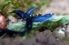 k-IMG_3798.jpg