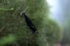 k-IMG_3805.jpg