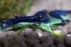 k-IMG_3820.jpg