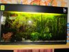 IMG_7645 (Custom).JPG
