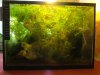 IMG_7648 (Custom).JPG