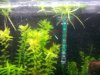 2013-06-24 17.48.41.jpg