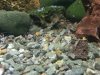 2013-06-29 10.47.39.jpg