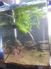 20130629_160549.jpg