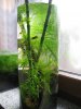 Vase I.JPG