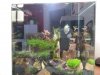 20130707_162323.jpg