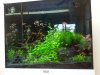 20130707_162756.jpg