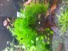 20130707_163051.jpg