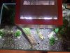 2013-07-21 21.16.39.jpg