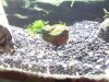 2013-07-21 21.16.49.jpg