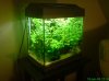DSC01117.JPG