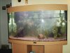 IMG_0665_(800_x_600).jpg