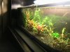 Aquarien 004.jpg