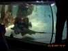 DSCN0059.JPG