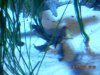 DSCN0075.JPG