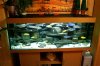 Aquarium.jpg
