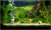 60LTank.JPG
