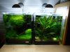 20L.JPG