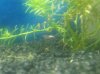 20130808_215115.jpg