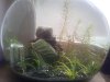 2013-08-19 16.10.45.jpg
