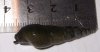 20120115170011k.JPG