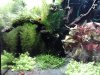 IMG133.jpg
