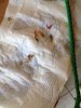 IMG-20131007-WA0001.jpg