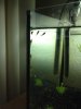 IMG-20131007-WA0004.jpg